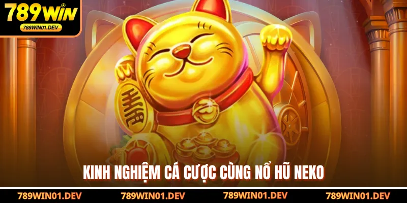 Kinh nghiệm cá cược cùng nổ hũ Neko